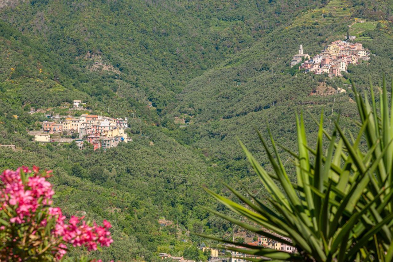 Villa Dell'Erta - Levanto Montale  Exterior foto