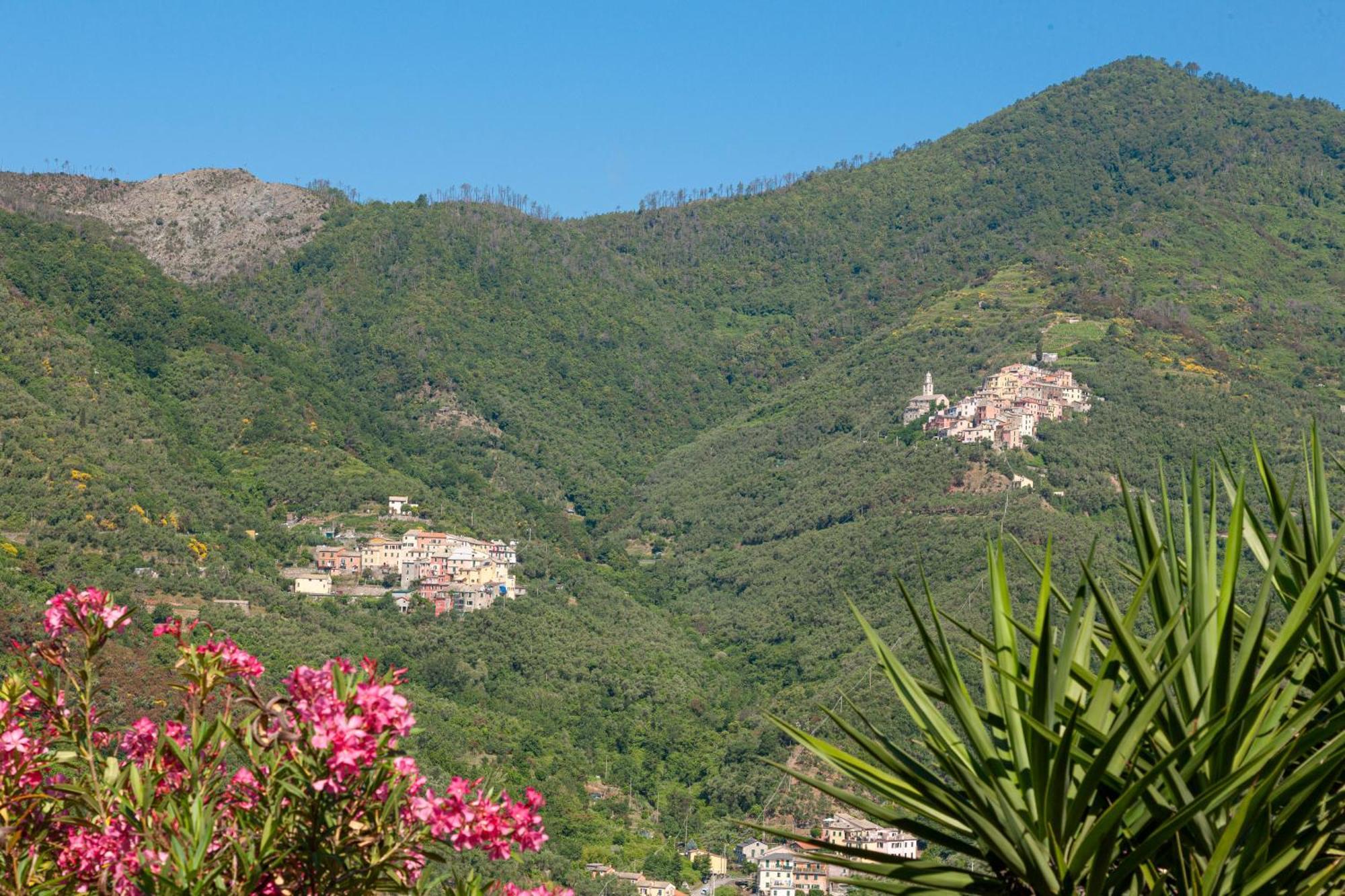 Villa Dell'Erta - Levanto Montale  Exterior foto